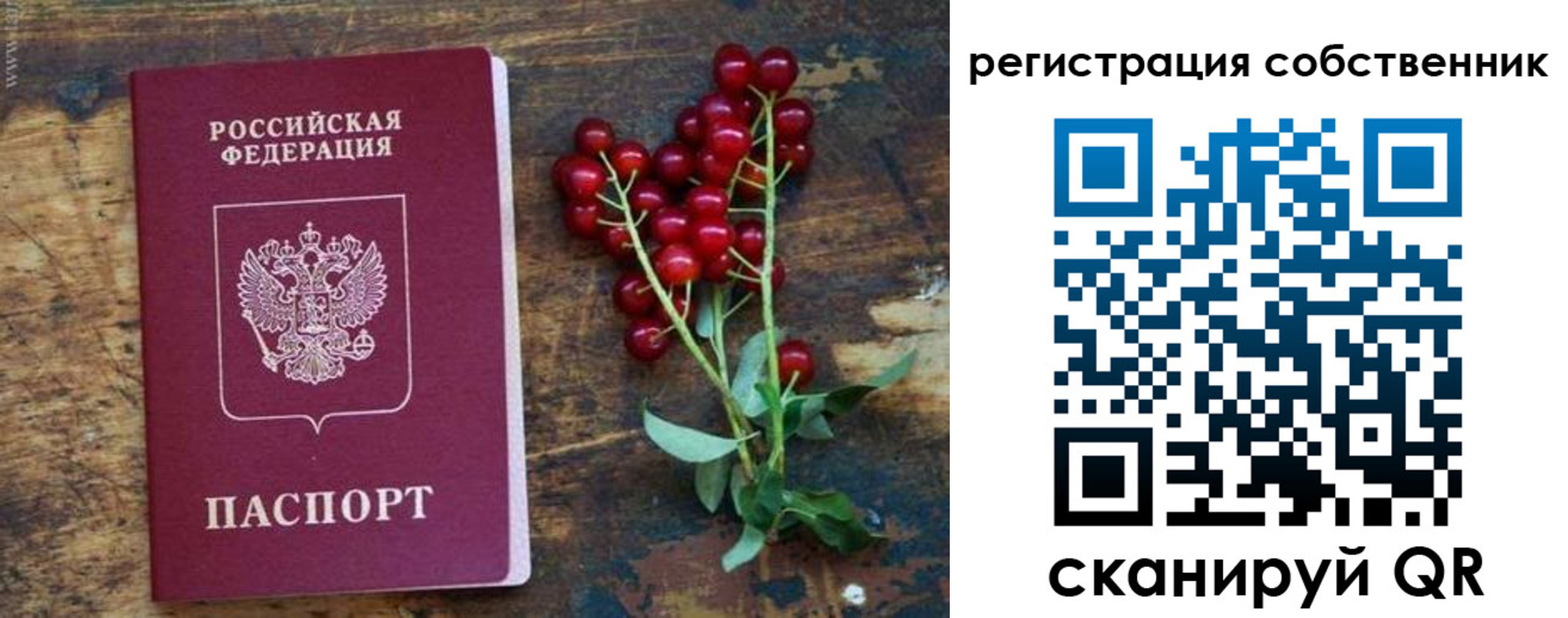 регистрация для дет. сада в Яхроме